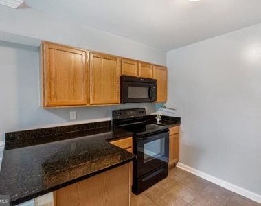 7334 Tavenner Lane - Photo Thumbnail 21