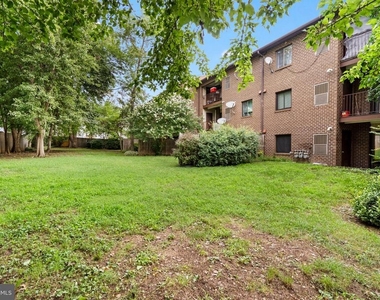 7334 Tavenner Lane - Photo Thumbnail 29