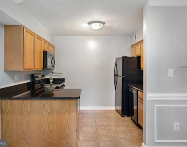 7334 Tavenner Lane - Photo Thumbnail 20