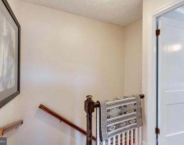 247 Evans Lane - Photo Thumbnail 14