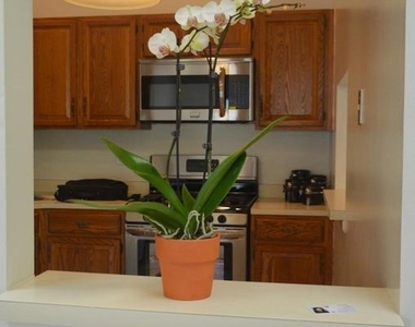 74 Lehavre Court - Photo Thumbnail 4