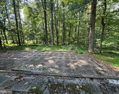 11717 Happy Choice Lane - Photo Thumbnail 11