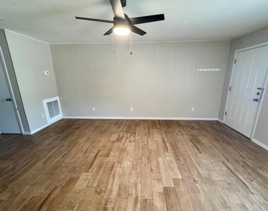 820 S Blanco St - Photo Thumbnail 5