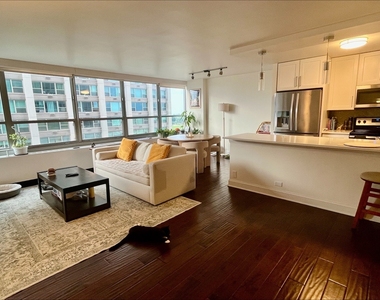 3550 N Lake Shore Drive - Photo Thumbnail 23