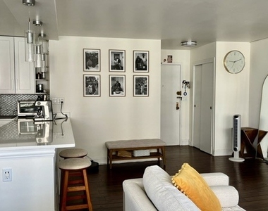 3550 N Lake Shore Drive - Photo Thumbnail 7