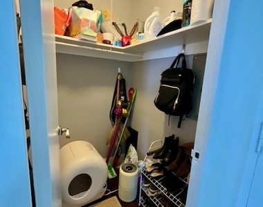 3550 N Lake Shore Drive - Photo Thumbnail 13