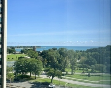3550 N Lake Shore Drive - Photo Thumbnail 14