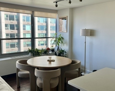 3550 N Lake Shore Drive - Photo Thumbnail 4