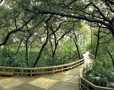10630 Camarelle Circle - Photo Thumbnail 47
