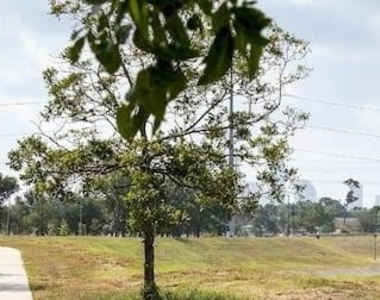 5036 Golden Forest Drive - Photo Thumbnail 11