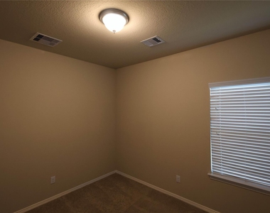 25718 Boxwood Hedge Lane - Photo Thumbnail 8