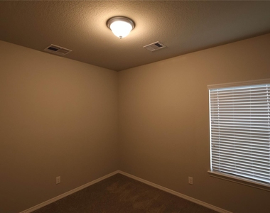 25718 Boxwood Hedge Lane - Photo Thumbnail 10
