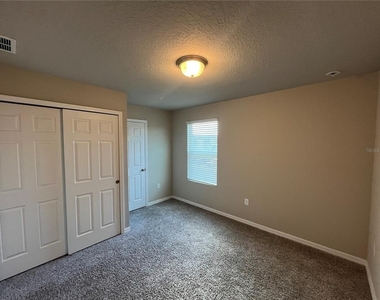 2443 Sweet Viburnum Way - Photo Thumbnail 24