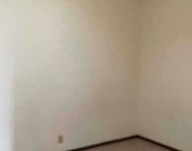 1504 Monte Sanders Lane - Photo Thumbnail 20