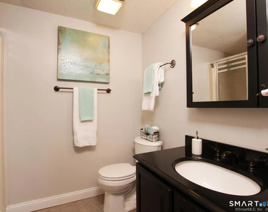 46 Little Oak Lane - Photo Thumbnail 19