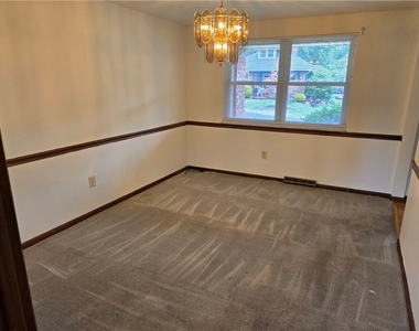 323 Arch Street - Photo Thumbnail 19