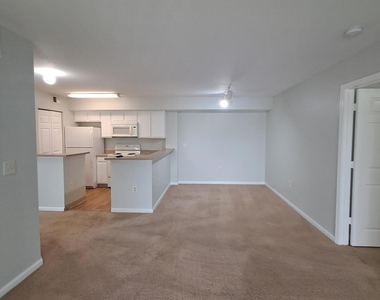 181 Sw Palm Drive - Photo Thumbnail 4