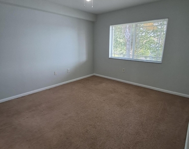 181 Sw Palm Drive - Photo Thumbnail 8