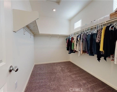 235 Black Walnut - Photo Thumbnail 11