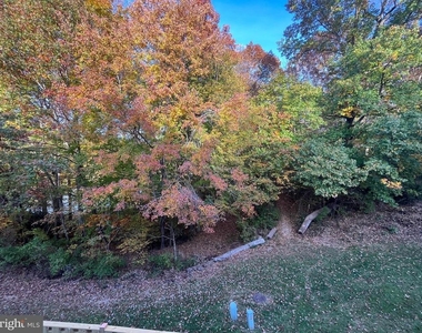 11531 Hill Meade Lane - Photo Thumbnail 26