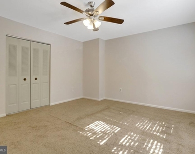 7416 Spring Tree Drive - Photo Thumbnail 29
