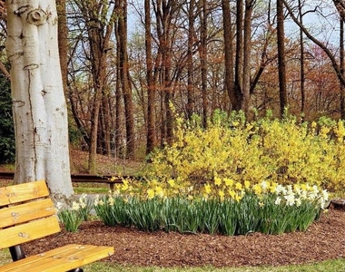 5901 Mount Eagle Drive - Photo Thumbnail 15