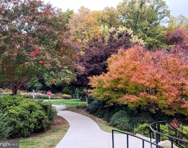 5901 Mount Eagle Drive - Photo Thumbnail 11