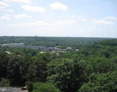 309 Yoakum Parkway - Photo Thumbnail 21