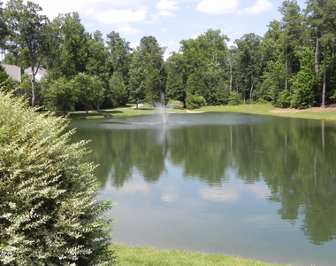 207 Cove Creek Drive - Photo Thumbnail 18
