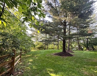 155 Weybridge Drive - Photo Thumbnail 33