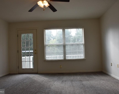 268 Colt Street - Photo Thumbnail 9