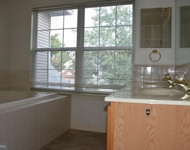268 Colt Street - Photo Thumbnail 10