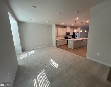 310 Schaffer Drive - Photo Thumbnail 16