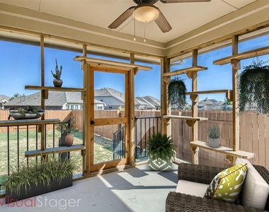 113 Lily Turf Cv - Photo Thumbnail 25