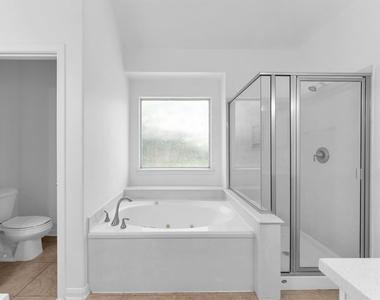 14823 Yellow Begonia Drive - Photo Thumbnail 46