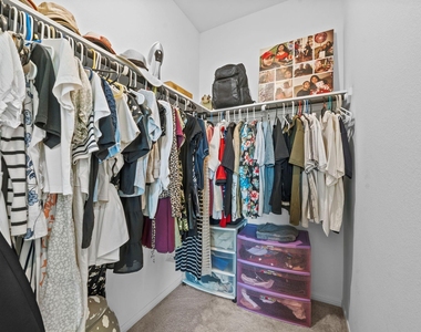 334 Paso Fino Drive - Photo Thumbnail 11
