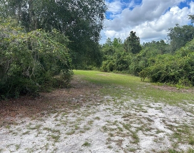 2229 Adelia Boulevard - Photo Thumbnail 6