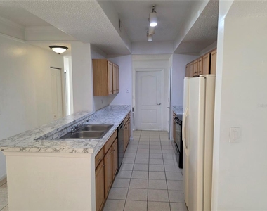 12311 Lantana Park Lane - Photo Thumbnail 14