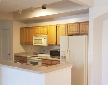 12311 Lantana Park Lane - Photo Thumbnail 4