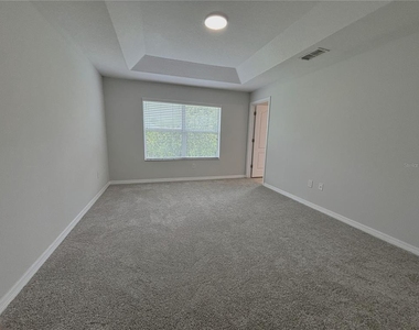 11155 Savannah Landing Circle - Photo Thumbnail 21