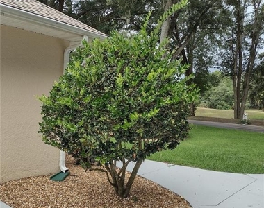 592 Dowling Circle - Photo Thumbnail 4