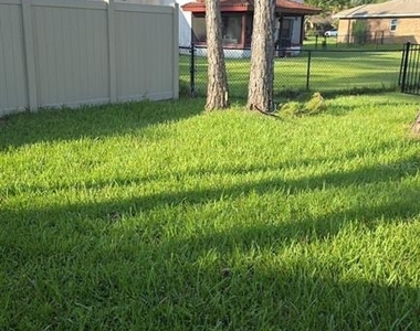 24 Wellside Lane - Photo Thumbnail 31