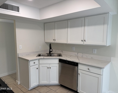 10642 Cuatro Vistas Drive - Photo Thumbnail 10