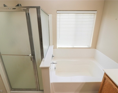 10263 Burning Bush Street - Photo Thumbnail 18