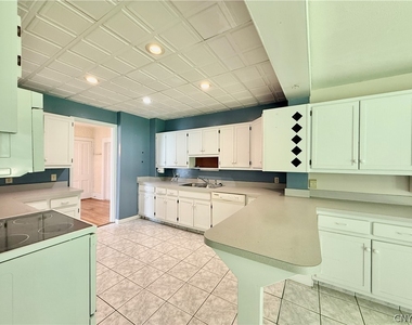21 Virginia Street - Photo Thumbnail 15