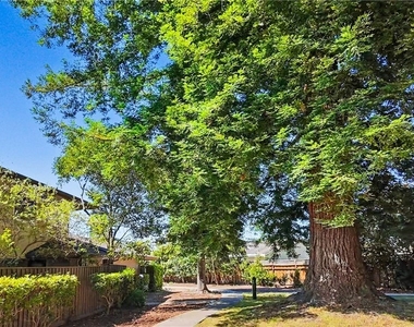 128 Castillion Terrace - Photo Thumbnail 8