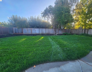 1829 Rosetree Ct - Photo Thumbnail 38