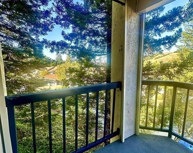 4243 Terra Granada Dr - Photo Thumbnail 6
