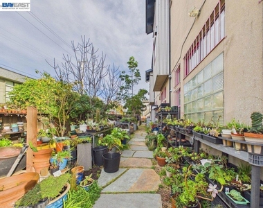 2932 Filbert St - Photo Thumbnail 32