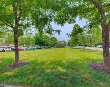 42262 Knotty Oak Terrace - Photo Thumbnail 57